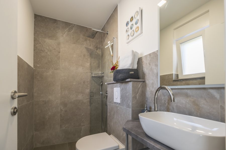 The bathroom by the living area, with a walk-in shower