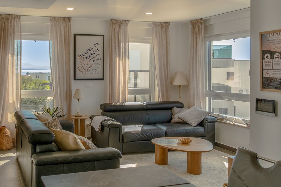 The living room sofas and the windows