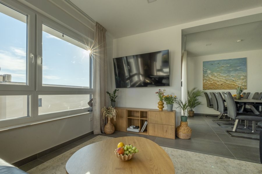 The living room with the television and the long window